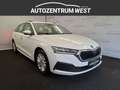 Skoda Octavia 2.0 TDI Ambition ...LED/NAVI/ACC Weiß - thumbnail 5