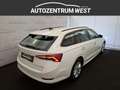 Skoda Octavia 2.0 TDI Ambition ...LED/NAVI/ACC Weiß - thumbnail 8