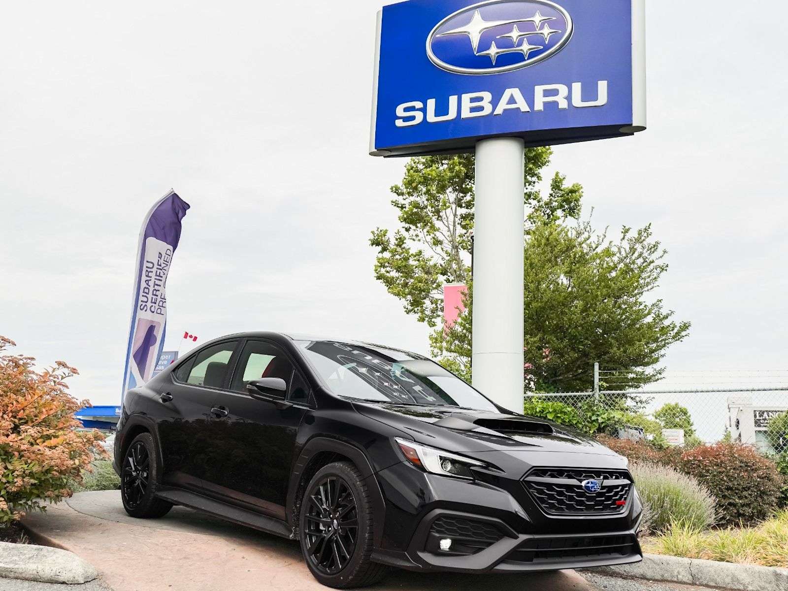 2026 Subaru WRX