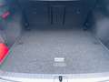 Skoda Octavia 4x4 Ambition TDI DSG Silber - thumbnail 14