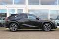 Lexus UX 250h Hybrid Executive Line I Opendak I Premium Navi I A Schwarz - thumbnail 12
