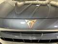 CUPRA Formentor 2024 - Formentor 2.0 tdi 150cv dsg Szürke - thumbnail 20