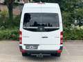 Mercedes-Benz Sprinter 313 Cdi 9 Sitze Rollstuhllift Klima Eu5 Weiß - thumbnail 16