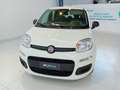 Fiat Panda Panda 1.0 FireFly S&S Hybrid Blanc - thumbnail 2