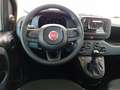 Fiat Panda Panda 1.0 FireFly S&S Hybrid Blanc - thumbnail 11