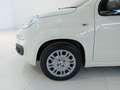 Fiat Panda Panda 1.0 FireFly S&S Hybrid Blanc - thumbnail 8