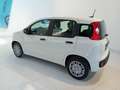 Fiat Panda Panda 1.0 FireFly S&S Hybrid Blanc - thumbnail 6