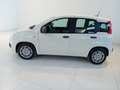 Fiat Panda Panda 1.0 FireFly S&S Hybrid Blanc - thumbnail 7