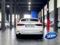 Audi A5 Sportback 2.0TDI Sport 110kW Bílá - thumbnail 6
