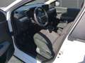 Dacia Sandero Stepway TCe 90 Expression SHZ Navi PDC RFK Weiß - thumbnail 6