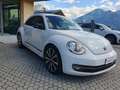 Volkswagen Maggiolino 2.0 TSI Sport DSG 200cv - catena nuova Bianco - thumbnail 2