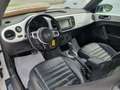 Volkswagen Maggiolino 2.0 TSI Sport DSG 200cv - catena nuova Alb - thumbnail 9