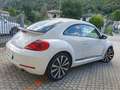 Volkswagen Maggiolino 2.0 TSI Sport DSG 200cv - catena nuova Bianco - thumbnail 3