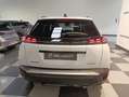Peugeot 2008 145+CV+HYBRID Blanco - thumbnail 10
