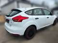 Ford Focus Ambiente Weiß - thumbnail 4