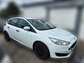 Ford Focus Ambiente Weiß - thumbnail 3