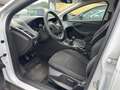 Ford Focus Ambiente Weiß - thumbnail 10
