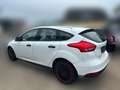 Ford Focus Ambiente Weiß - thumbnail 5