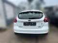 Ford Focus Ambiente Weiß - thumbnail 6