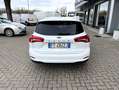 Ford Focus SW 1.5 Ecoblue Business 120CV Weiß - thumbnail 6
