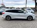 Ford Focus SW 1.5 Ecoblue Business 120CV Weiß - thumbnail 4