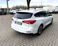 Ford Focus SW 1.5 Ecoblue Business 120CV Weiß - thumbnail 5