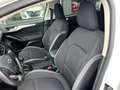 Ford Focus SW 1.5 Ecoblue Business 120CV Weiß - thumbnail 8