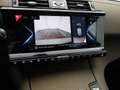 DS Automobiles DS 7 Crossback E-Tense 4x4 Business | CAMERA | CARPLAY Grijs - thumbnail 21