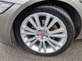 Jaguar XF XF 2.0 D 163cv AUTO GPS/XENON/BT/CUIR CHAUFF... Grau - thumbnail 5