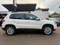 Volkswagen Tiguan Track 4x4, Navi. Bi-Xenon,Pdk,Ahk,Panoramic Weiß - thumbnail 7