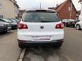 Volkswagen Tiguan Track 4x4, Navi. Bi-Xenon,Pdk,Ahk,Panoramic Weiß - thumbnail 5