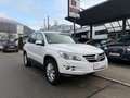 Volkswagen Tiguan Track 4x4, Navi. Bi-Xenon,Pdk,Ahk,Panoramic Weiß - thumbnail 1