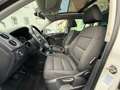 Volkswagen Tiguan Track 4x4, Navi. Bi-Xenon,Pdk,Ahk,Panoramic Weiß - thumbnail 11