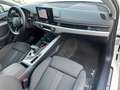 Audi A4 Avant 40 TDI S-tronic 2x S line/Matrix/AHK Weiß - thumbnail 13