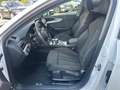 Audi A4 Avant 40 TDI S-tronic 2x S line/Matrix/AHK Weiß - thumbnail 24