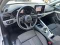 Audi A4 Avant 40 TDI S-tronic 2x S line/Matrix/AHK Weiß - thumbnail 23