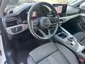 Audi A4 Avant 40 TDI S-tronic 2x S line/Matrix/AHK Weiß - thumbnail 22