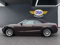 Audi A5 3.0 TDI Cabrio Braun - thumbnail 7