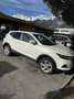 Nissan Qashqai 1,6 dCi Acenta Weiß - thumbnail 5