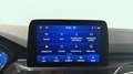 Ford Kuga 2.5 Duratec FHEV Titanium 4x2 Aut. Gris - thumbnail 18
