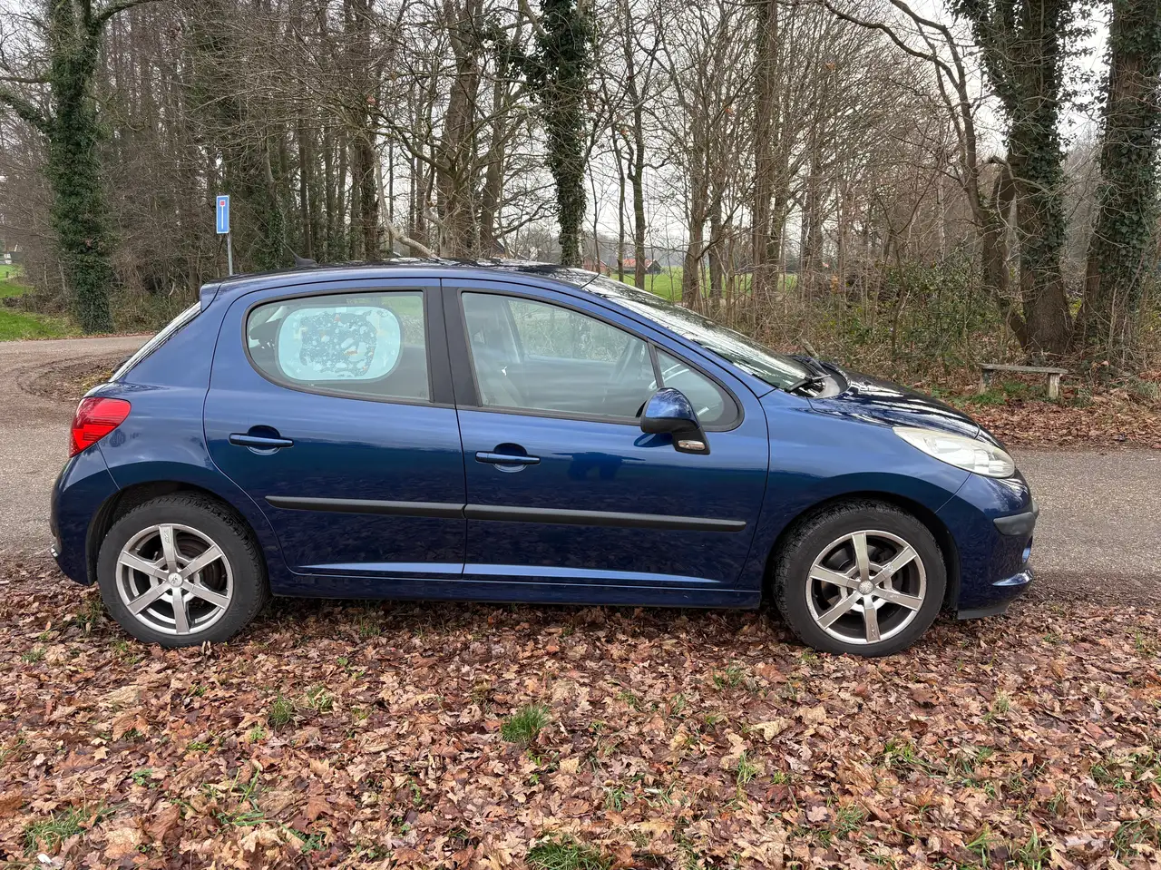 Peugeot 207