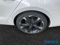 CUPRA Leon Sportstourer 2.0TDI DSG Navi LED ACC DAB Rear View Weiß - thumbnail 8