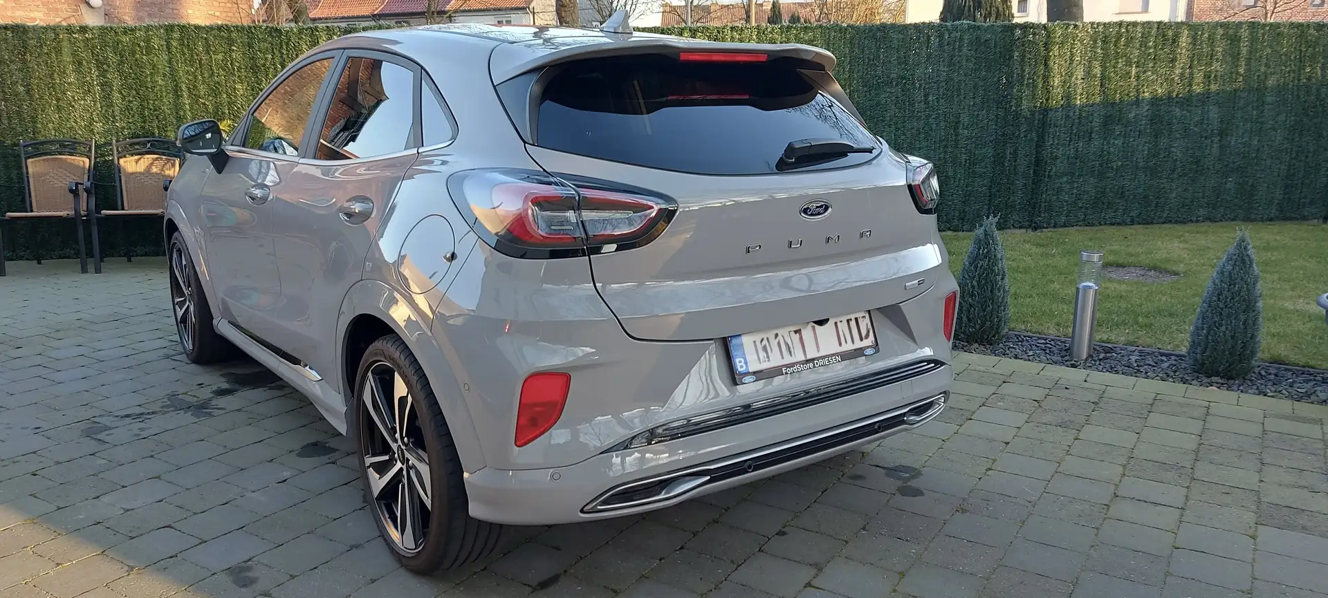 Ford Puma 1.0 EcoBoost Hybrid Aut. ST-LINE VIGNALE - 2