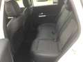 Mercedes-Benz B 180 Progressive, Winter Paket Weiß - thumbnail 16