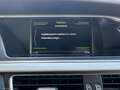 Audi A4 2.0 TDI 150 CV cl.d. Bus.Plus - 2015 Nero - thumbnail 17