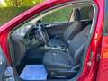 Ford Focus Active Automaat  1.0 EcoBoost  ### 71000 km ### Rood - thumbnail 11