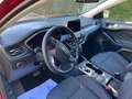 Ford Focus Active Automaat  1.0 EcoBoost  ### 71000 km ### Rood - thumbnail 9