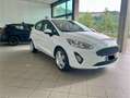 Ford Fiesta Fiesta 5p 1.5 ecoblue Business 85cv my20 Titanium Bianco - thumbnail 11