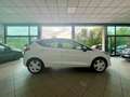 Ford Fiesta Fiesta 5p 1.5 ecoblue Business 85cv my20 Titanium Bianco - thumbnail 10