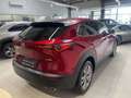 Mazda CX-30 2.0L e-SKYACTIV G, Bose, 360 Grad, Navigat Rot - thumbnail 5